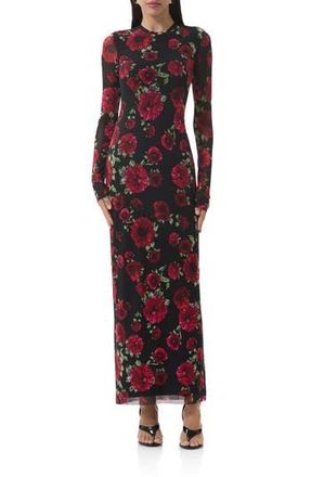 AFRM Didi Printed Long Sleeve Mesh Maxi Dress in Painted Roses at Nordstrom Rack, Size Small