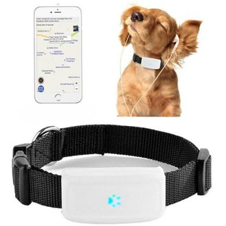 Trade Shop Collar Gps Gsm Tracker Para Animales Perro Gato Con Collar