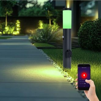 ETC Shop Lampada da esterno Smart led, dimmerabile, lampada da terra con rilevatore di movimento, acciaio inossidabile, antracite, cambio colore, con 2 prese