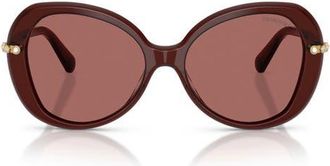 Swarovski 55mm Butterfly Sunglasses in Transparent Burgundy /Violet at Nordstrom