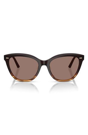 Oliver Peoples x Roger Federer Mr. Federer 55mm Cat Eye Sunglasses in Cortado /Sierra at Nordstrom