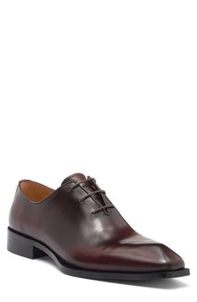 Maison Forte Director Wholecut Oxford in Chestnut at Nordstrom Rack, Size 14