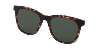 Sting AGSJ674 Clip-On Only Polarized 878P Mens Sunglasses Tortoiseshell Size 49