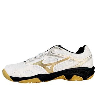 Mizuno Sky Blaster SlipResistant Durable Low Badminton 71GA234601