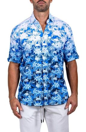 Maceoo Galileo Marthy Short Sleeve Button-Up Shirt in White Blue at Nordstrom, Size 4