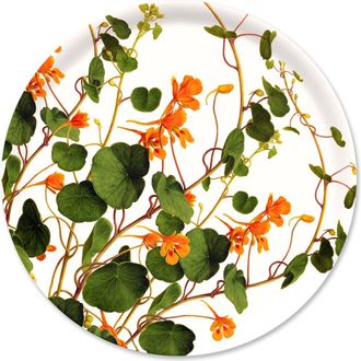 Caskata Bunny Maximus Large Rectangular Birchwood Tray - Wood & Melamine in Nasturtiums Tray at Nordstrom