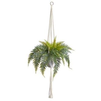 Nearly Natural 25-in Fern Hanging Artificial Plant in Decorative Basket in Green at Nordstrom