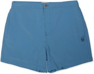 Party Pants Mullet Seersucker Striped Swim Trunks in Blue at Nordstrom, Size Xx-Large