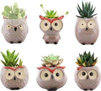 OEM Macetas Para Plantas Suculentas, Maceta Con Forma De B&uacute;ho, Bons&aacute;i De Cer&aacute;mica