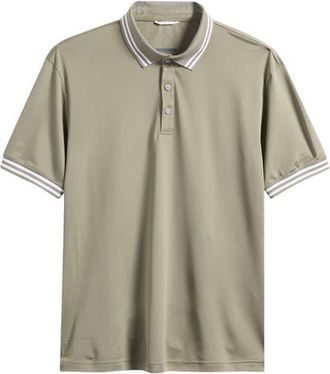 Swannies Thatcher Tipped Performance Polo in Olive at Nordstrom, Size Xx-Large