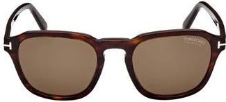 Tom Ford Avery 52mm Polarized Round Sunglasses in Dark Havana /Brown Polarized at Nordstrom Rack