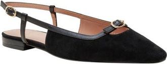 Linea Paolo Cassidy Pointed Toe Slingback Flat in Black at Nordstrom, Size 9.5