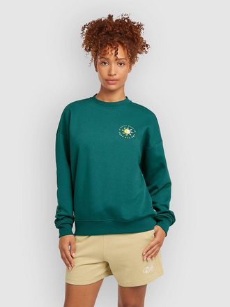 O'Neill Summer Musthave Crew Jersey verde
