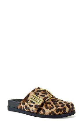 Azalea Wang Archibald Faux Calf Hair Clog in Leopard at Nordstrom, Size 7
