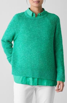 Eileen Fisher Raglan Sleeve Organic Linen & Organic Cotton Sweater in Jade at Nordstrom Rack, Size Xx-Small