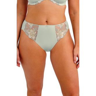 Fantasie Magdalena Scalloped Edge Briefs in Vintage Green at Nordstrom, Size Xx-Large