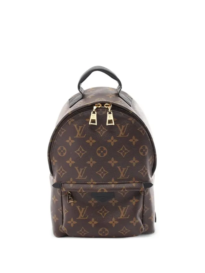 2018 Palm Springs PM backpack - Brown