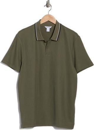 Calvin Klein Tipped Collar Cotton Blend Polo in Dusty Olive at Nordstrom Rack, Size Xx-Large
