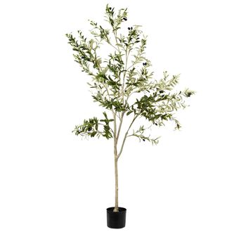 Beliani Planta Artificial En Maceta Para Interior Decoraci&oacute;n Olivo De Pl&aacute;stico 178 Cm Con Maceta Negra Olive Tree