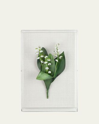 Tommy Mitchell Lily of the Valley May Birth Flower Wall Art