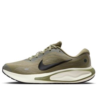 Nike Journey Run Silver Sage Black FN0228-302
