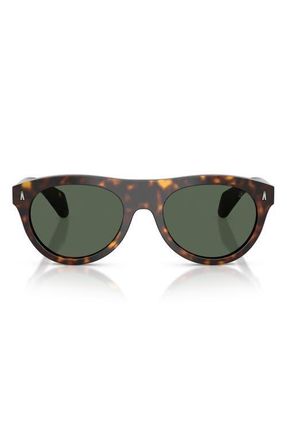 Moncler 53mm Splash Oval Sunglasses in Havana /Solid Dark Green at Nordstrom