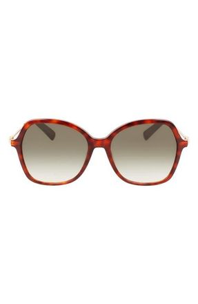 Longchamp 57mm Amazone Modified Rectangle Sunglasses in Havana at Nordstrom