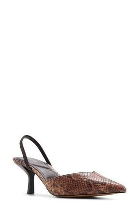 Aldo Olivia Pointed Toe Slingback Pump in Brown Multi at Nordstrom, Size 6.5