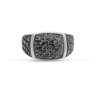 LuvMyJewelry Fossil Agate Sterling Silver Men Signet Ring