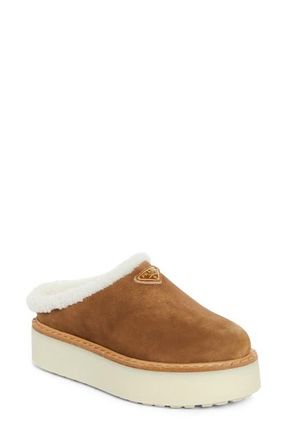 Prada Evolve Genuine Shearling Clog in Cannella at Nordstrom, Size 8.5Us