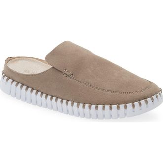 Ilse Jacobsen Tulip 3420 Mule in Falcon at Nordstrom, Size 11Us