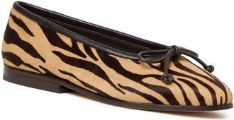 Loeffler Randall Noella Zebra Genuine Calf Hair Flat at Nordstrom, Size 10.5