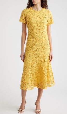Elie Tahari The Marci Lace Dress in Golden Hour at Nordstrom, Size 2