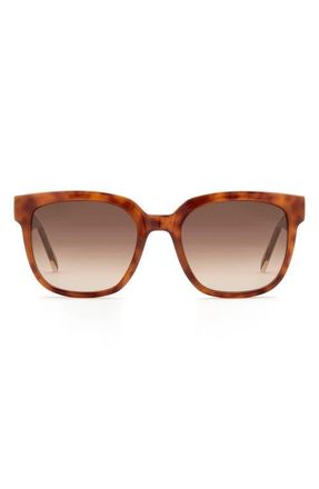 Fossil 54mm Gradient Square Sunglasses in Light Havana/Brown Sf at Nordstrom