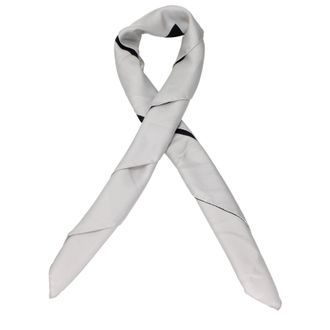 Lardini Foulard Vrouwelijke Zijde En Grijs