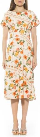 Alexia Admor Lottie Dolman Sleeve Dress in Vintage Florals at Nordstrom Rack, Size 14