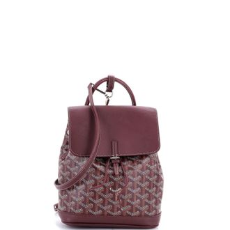 Goyard Alpin Backpack Coated Canvas Mini