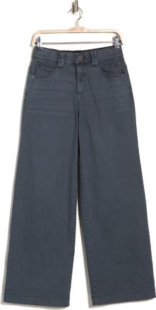 Democracy High Waist Wide Leg Jeans in Orion Blue at Nordstrom Rack, Size 12P