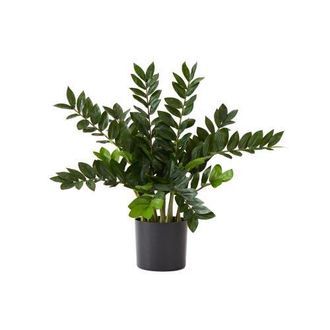 Nearly Natural 28-in Artificial Zamioculcas Plant with Decorative Planter in Green at Nordstrom