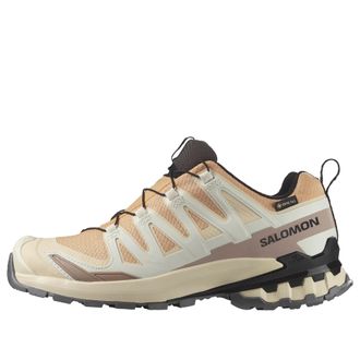 Salomon XA Pro 3D V9 GTX Hazelnut Tender Peach Black 478176