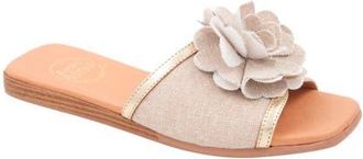André Assous Kiky Slide Sandal in Natural/Platino at Nordstrom, Size 10