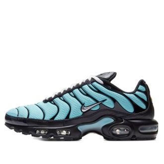 Nike Air Max Plus Aqua Silver CV8838-400