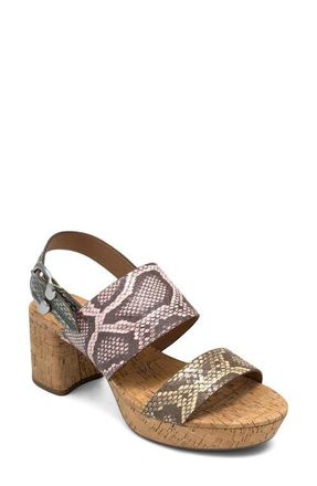Aerosoles Camera Platform Sandal in Multi Snake Print at Nordstrom, Size 8.5