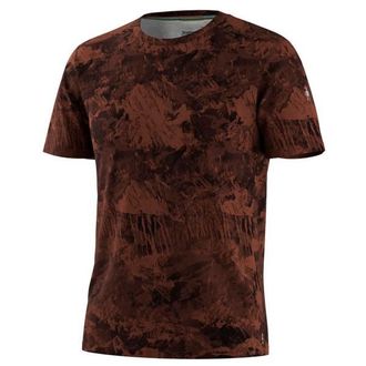 Smartwool Merino Tee Boxed Merinoshirt f&uuml;r Herren | braun