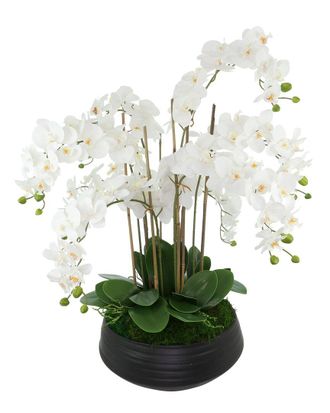 Creative Displays Inc. Orchid Centerpiece In Ceramic Pot