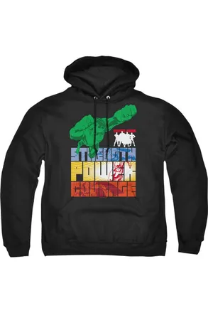 Gildan Justice League of America Heroic Qualities Adult Pull Over Hoodie / Hooded Sweatshirt