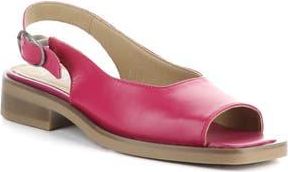 Bos. & Co. Elena Slingback Flat in Magnolia Cordero Lea at Nordstrom Rack, Size 6-6.5Us / 37Eu