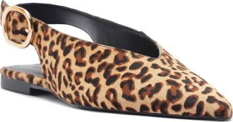 Arezzo Atlas Pointed Toe Slingback Flat in Leopard at Nordstrom, Size 7.5