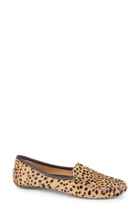 Patricia Green Jillian Loafer in Tan/black Spotted at Nordstrom, Size 8.5