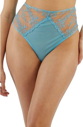 Playful Promises Cassia Blue Embroidered Mesh Thong at Nordstrom, Size X-Small